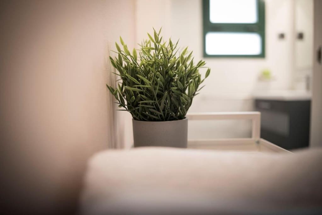 Apartamento En Centro Historico Con Patio Romano San Lorenzo de El Escorial Buitenkant foto